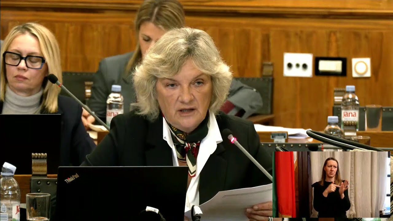 gradsko vijeće