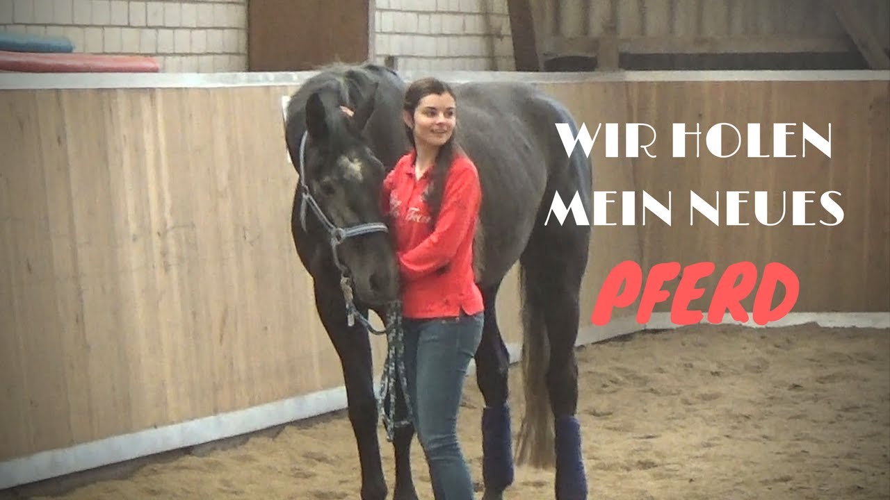 Wir holen mein NEUES PFERD ab   😍