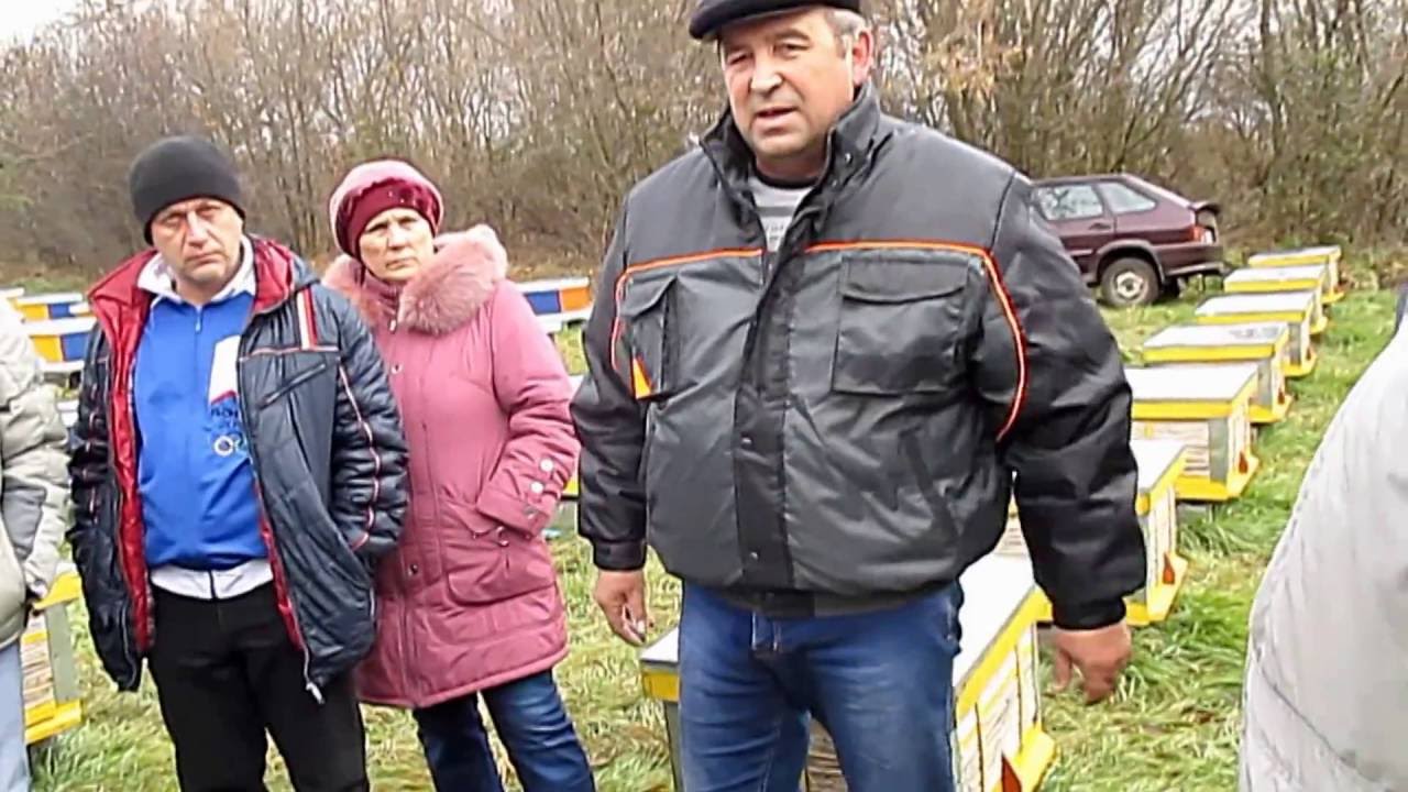На пасеке Василия Ничика. Какие Преимущества пчеловодства в камышовых ульях?