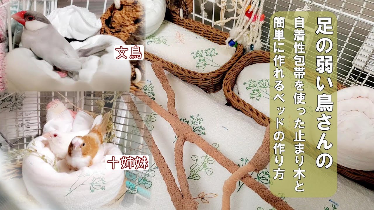 【老鳥・病鳥・脚力の弱い鳥さん】我が家の看護・介護が必要な鳥さんの(フィンチ)止まり木と簡単に作れるベッドの作り方の紹介です　文鳥・十姉妹　pinohana　ブンチョウ　ジュウシマツ　フィンチ