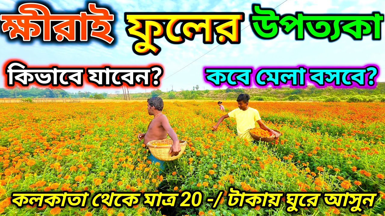 Khirai Flower Garden | Khirai One Day Trip From Kolkata 2025 | Khirai Valley of Flowers
