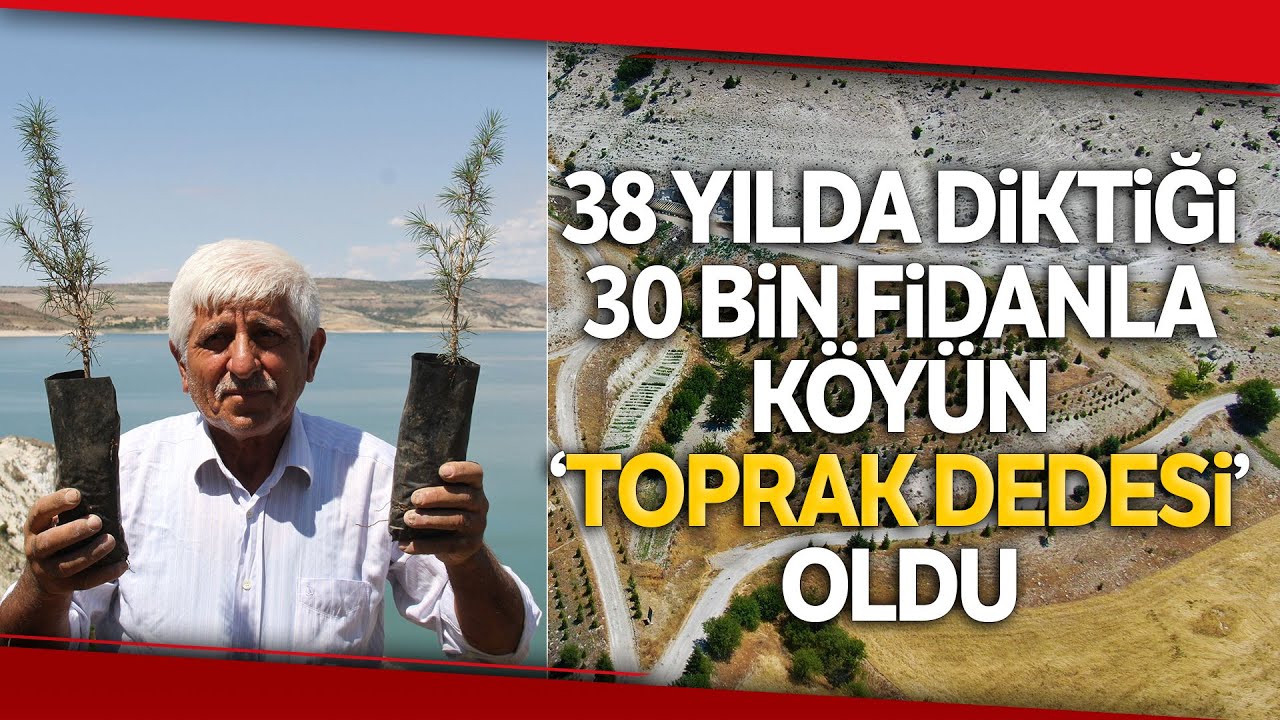 Ömrünü Ağaçlara Adadı, 38 Yılda Köyün Çehresini Değiştirerek 30 Bin Ağaç Dikti