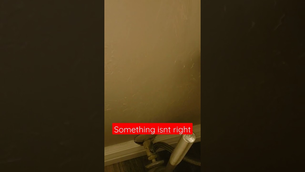 Weird plumbing noises in the wall