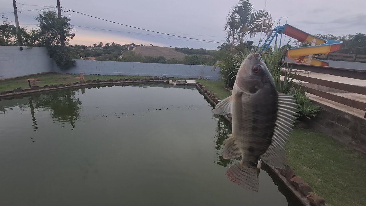 28X10 PARA AS TILÁPIAS PESCARIA NO LOGO PRINCIPAL saalada