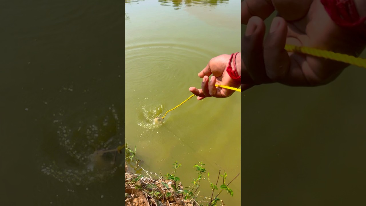 Bottle fish trap / amazing boy catch fish / with plastic bottle 🐠