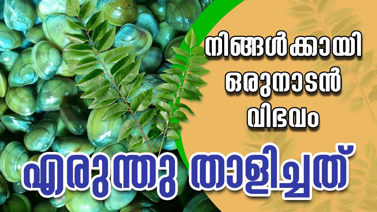 Erundhu Thalichathu Curry | Naden Thalippu Recipe 2020 |Clam Curry|#sknaturalvlogs| #5_minutes_curry