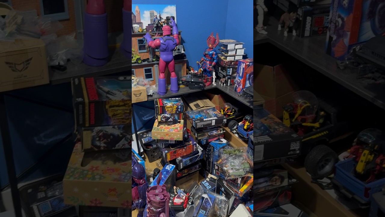 The Downside of Toy Collecting 