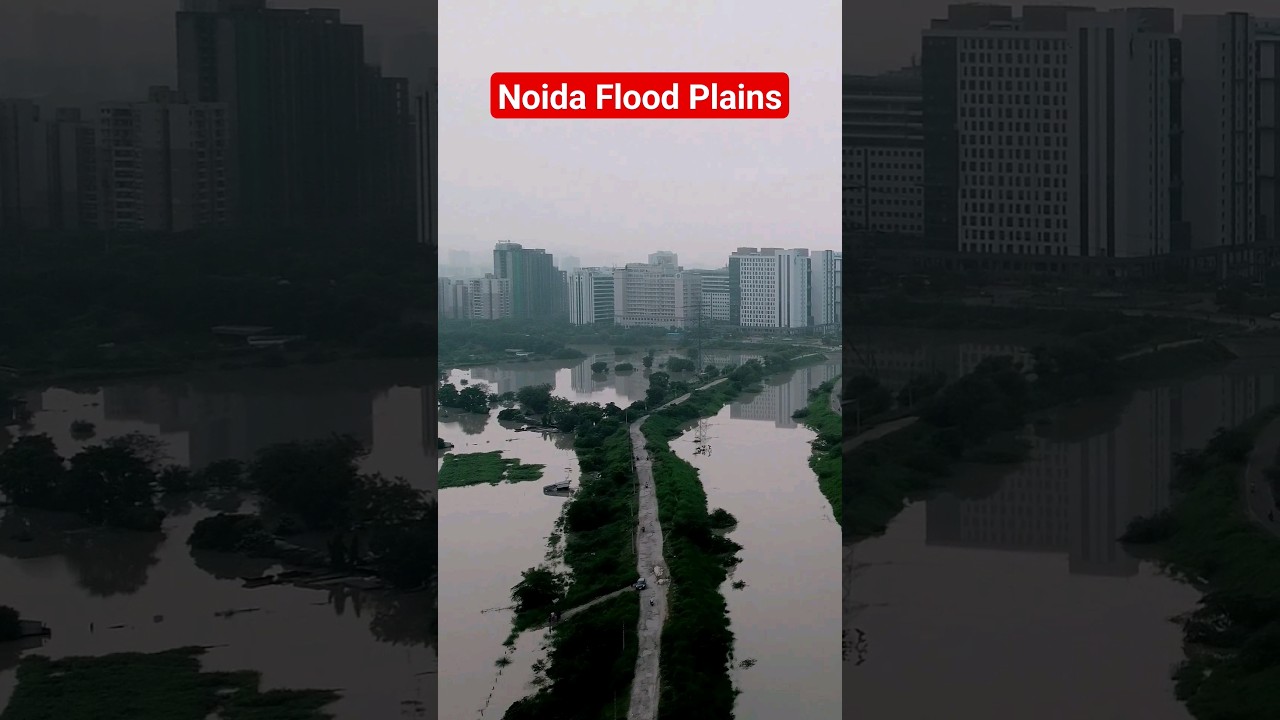 Noida Flood Plains Farms disaster #floods #delhifloodalert #delhifloods
