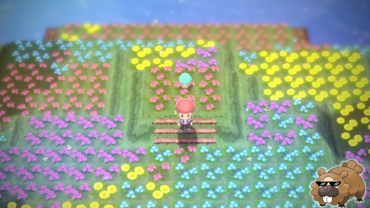 Oak's Letter...but you have shiny shaymin