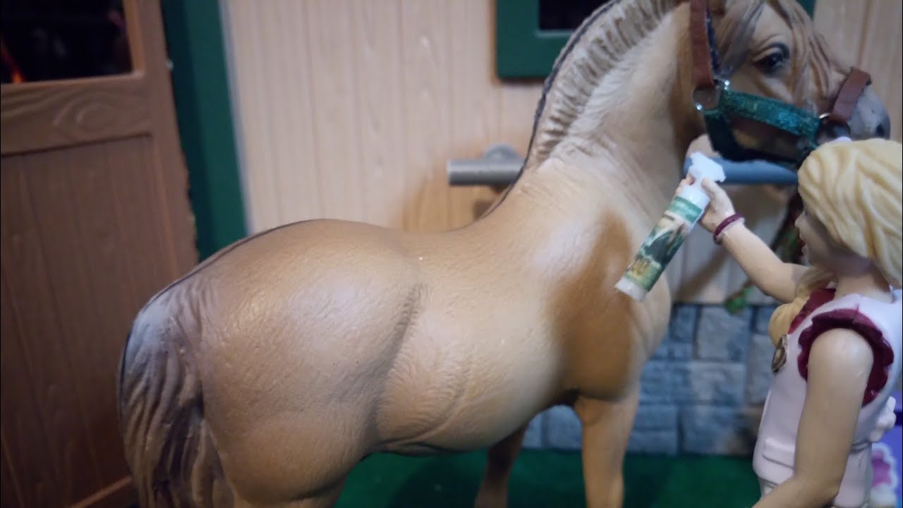 [Cours] Les sport étude montent les poneys !