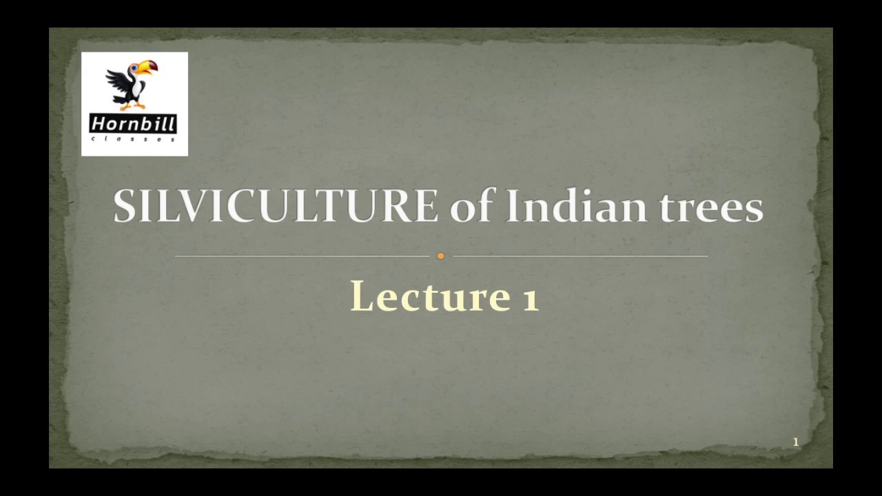21. IFoS-2019  |  Silviculture of Indian trees lecture 1 - General description & Teak