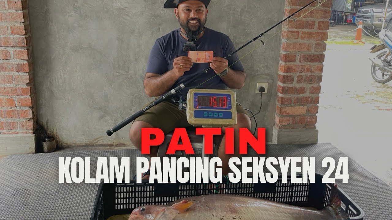 KOLAM PANCING SEKSYEN 24 | PATIN | MEKONG