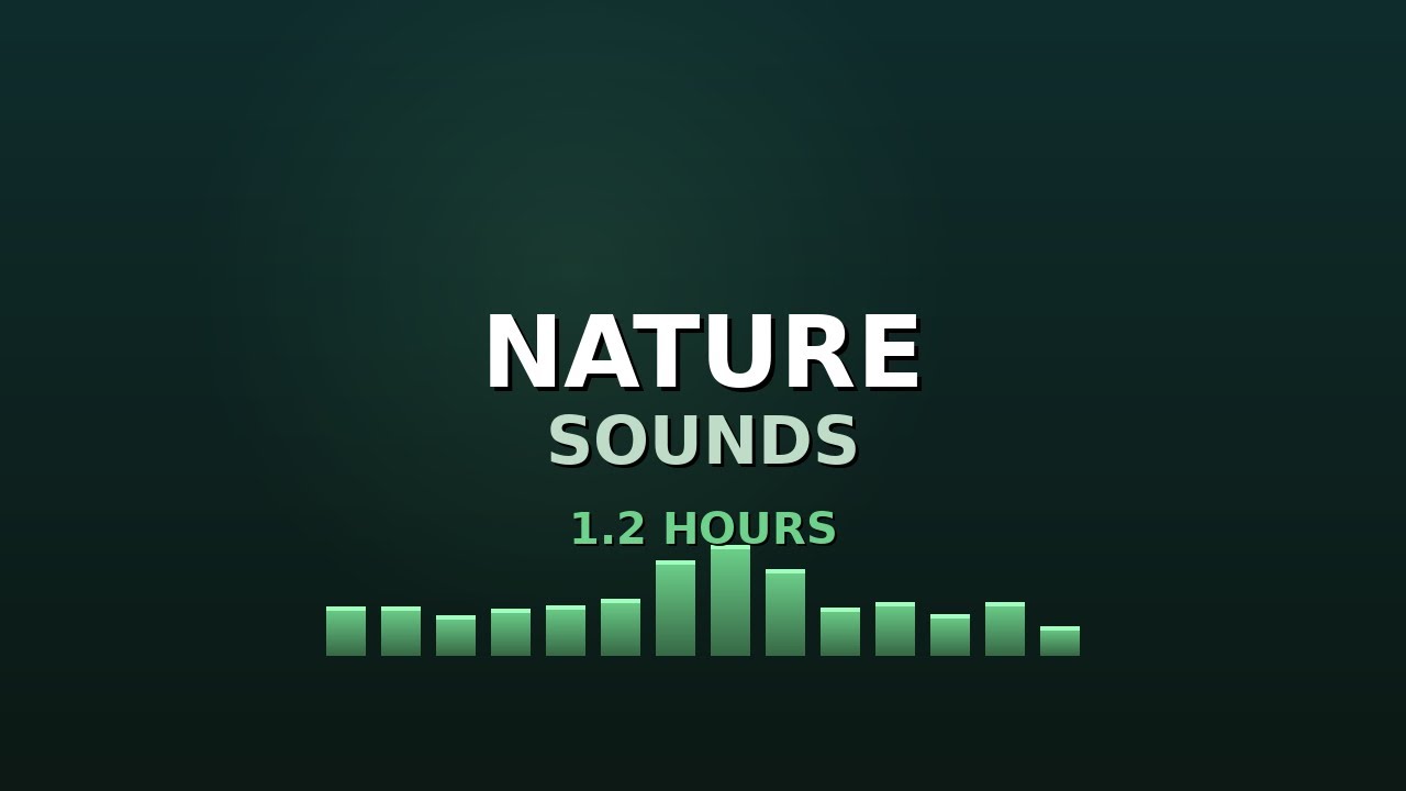 Nature Sounds for Relaxation - 1h Soothing Ambient Sounds