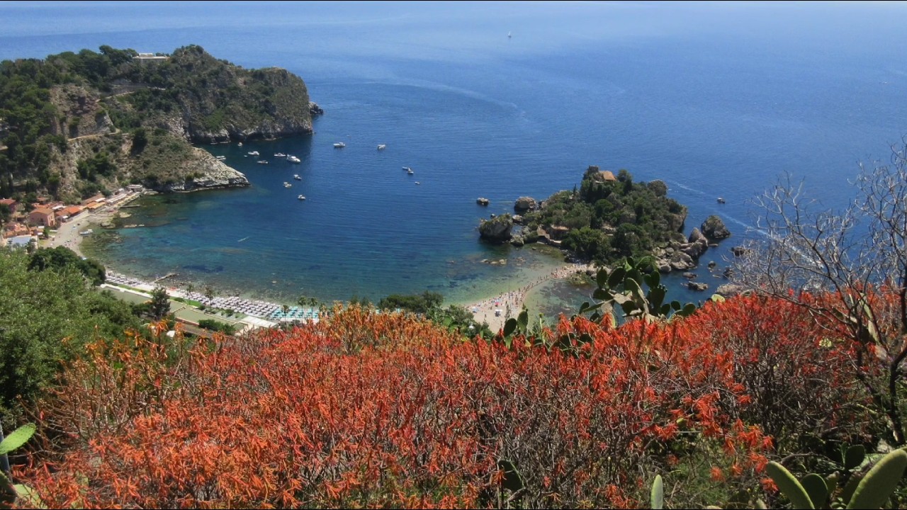 In Search of the Sweet Life, 2025