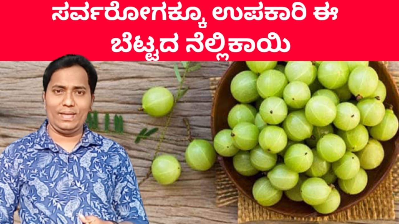 ನೆಲ್ಲಿಕಾಯಿಯ ಆರೋಗ್ಯ ಲಾಭಗಳು | Health Benefits of Indian gooseberry