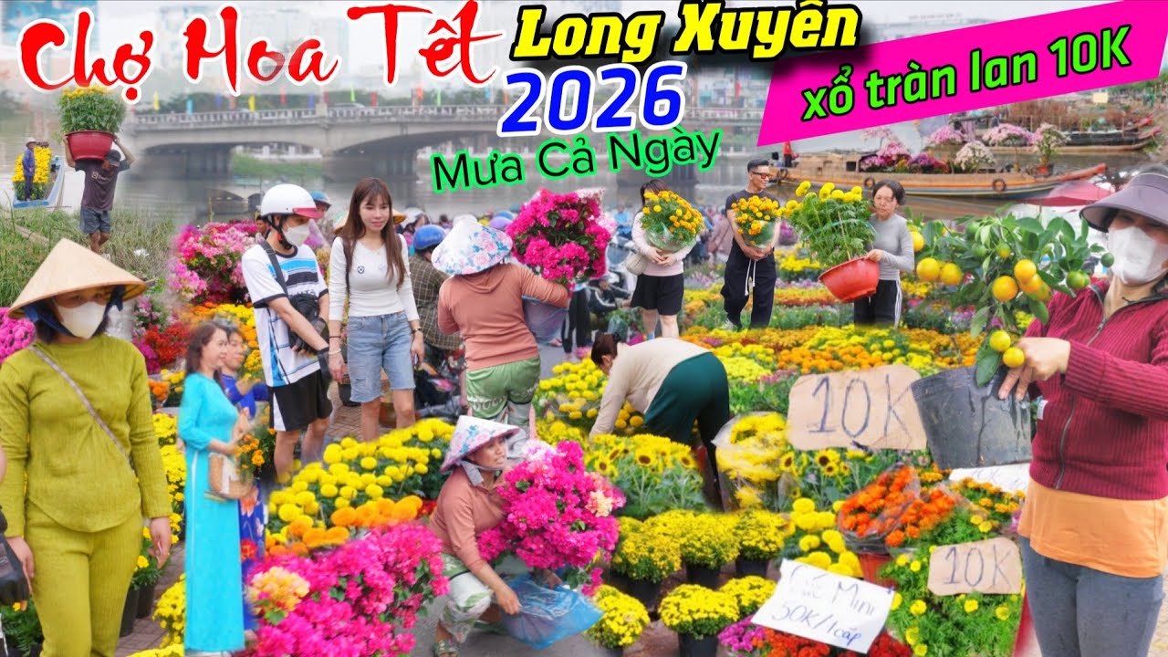 Điêu đứng 24 tết trời đổ mưa cả ngày, Hoa tết Long Xuyên xổ tràn lan 10K chậu rẻ như cho