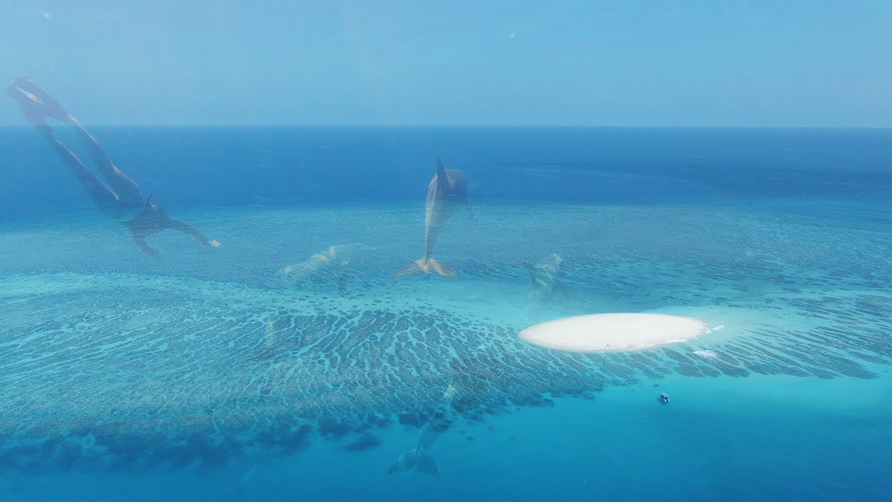 MAYOTTE - THE ISLAND OF DOLPHINS