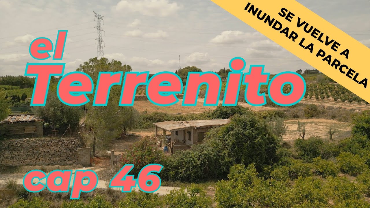 El Terrenito 46 REFORMAMOS UNA CASA ABANDONADA 40 AÑOS