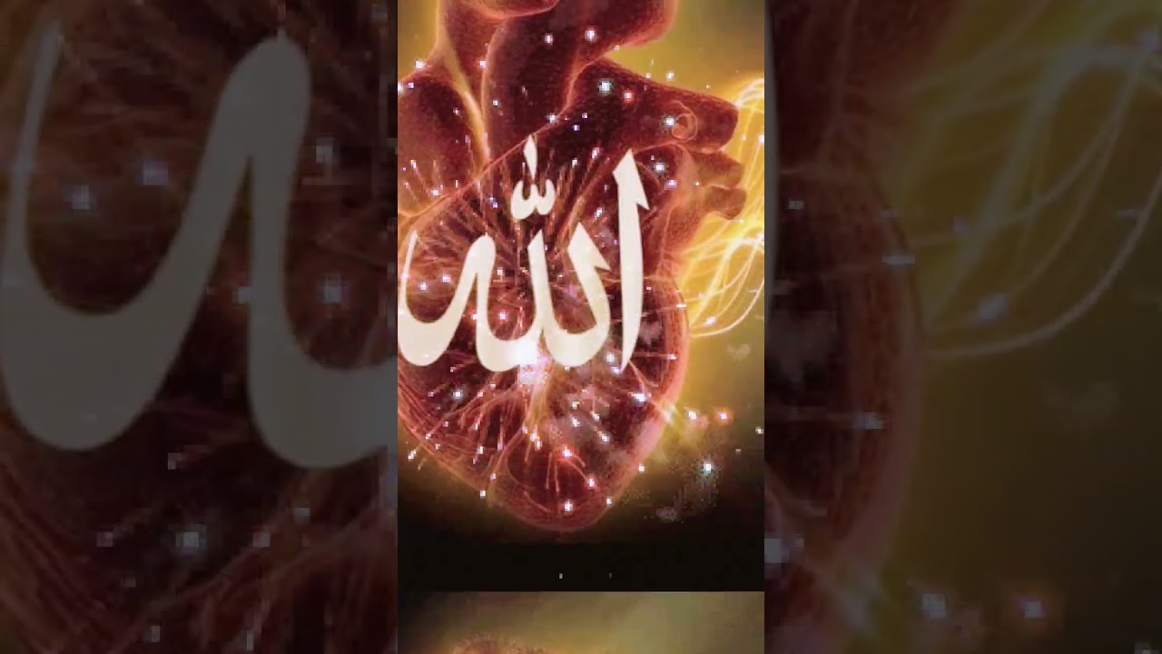 al #allahﷻallahﷻ #love