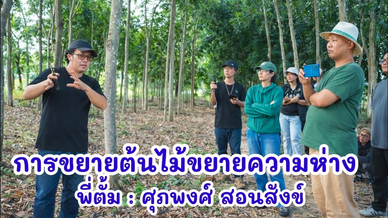 การตัดต้นไม้ขยายระยะความห่าง || เอ็นดูฟาร์มรัก Channel