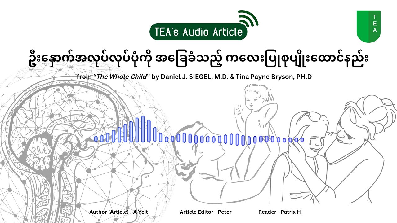 ဦးနှောက်အလုပ်လုပ်ပုံကို အခြေခံသည့် ကလေးပြုစု ပျိုးထောင်နည်း - TEA's Audio Article