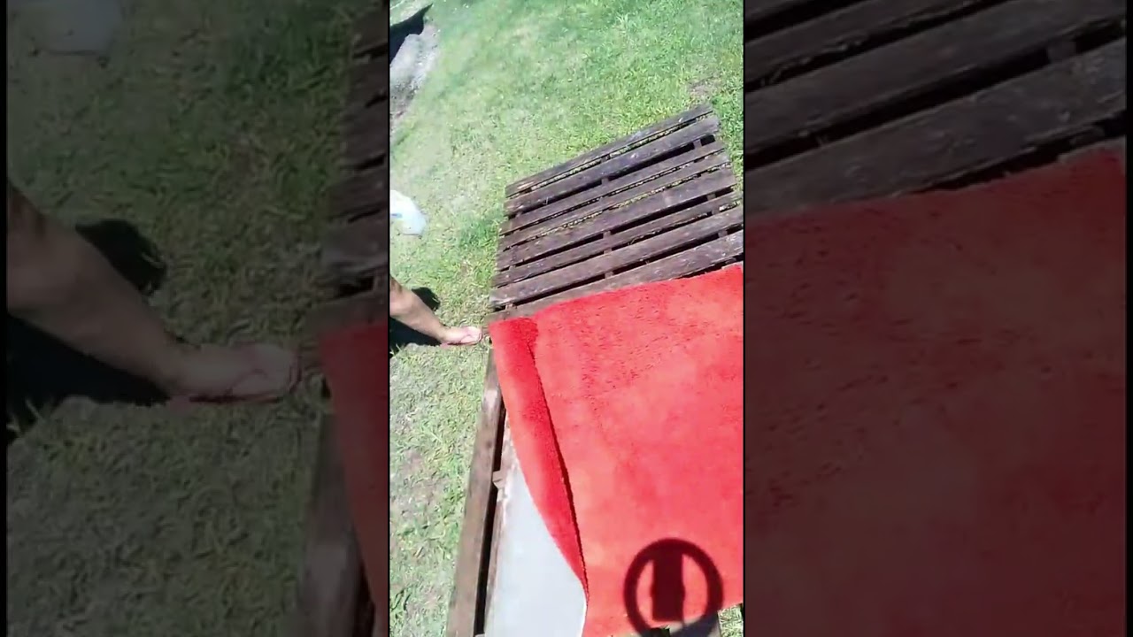 Dando um trato nos tapetes