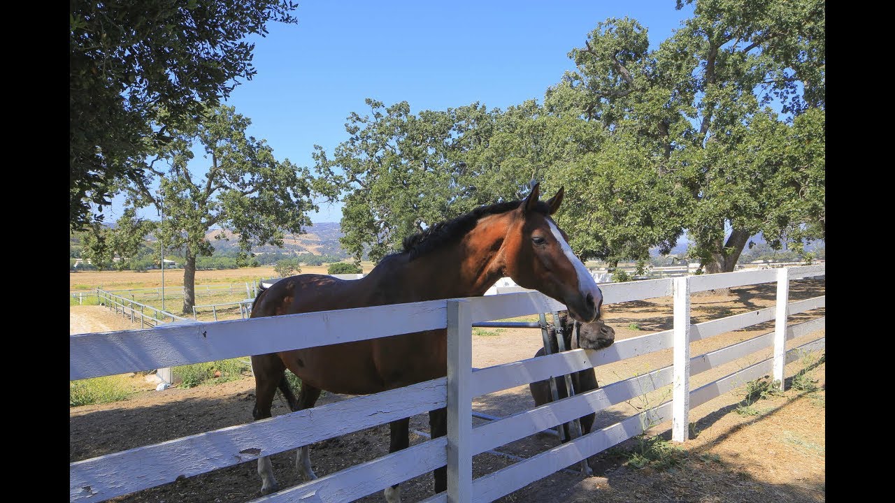 1430 Hidden Valley Road | Thousand Oaks