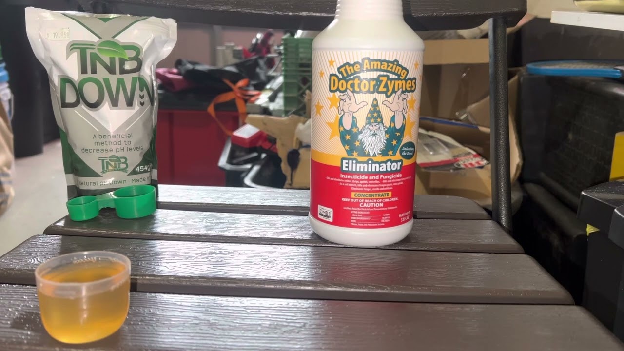 Ipm And Pest Management! How To Get Rid Of Spider Mites, Pm, Thrips. Using @doctorzymes