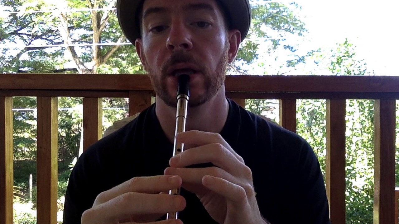 Whistle Priest: Jimmy Ward's Jig (Tutorial)