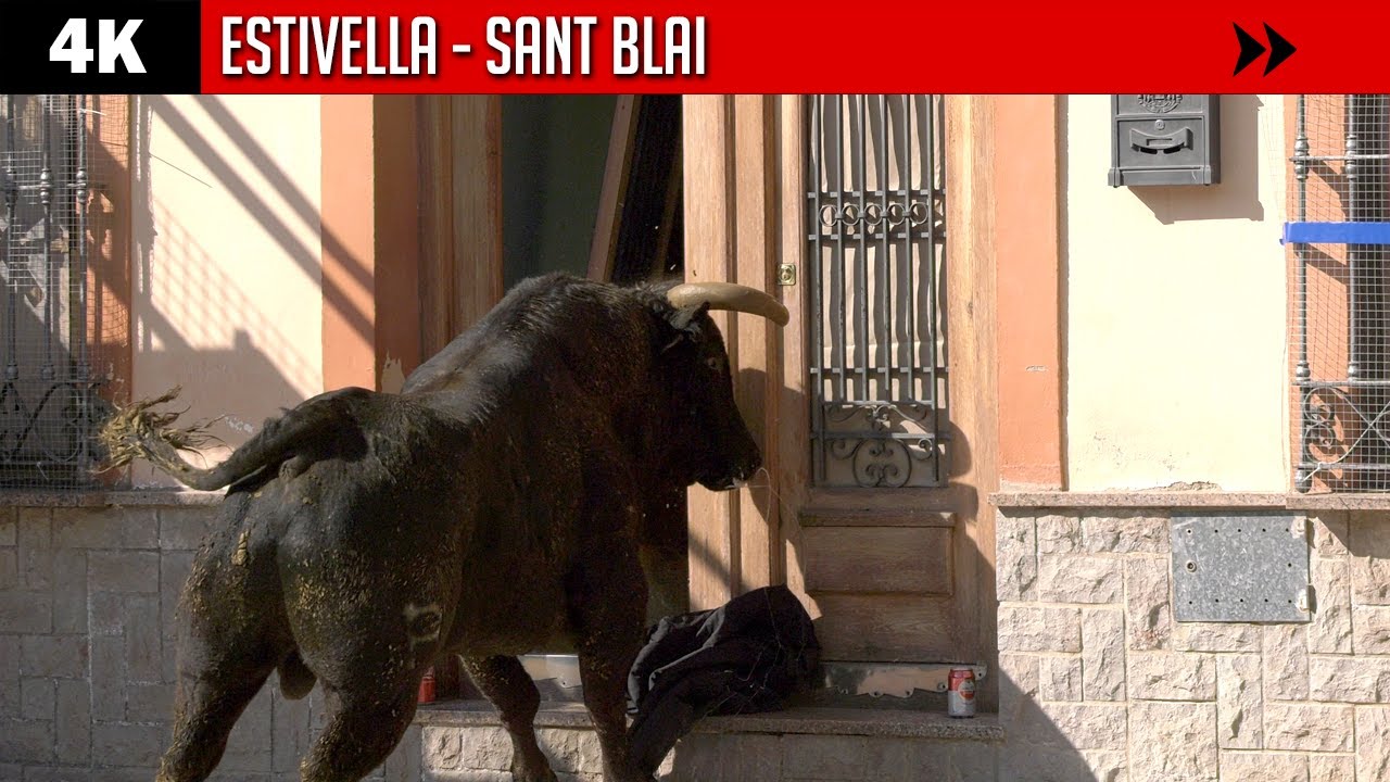 🤯 (Estremecedor) TORO ACABA CON LA PUERTA DE ESTA CASA en ESTIVELLA