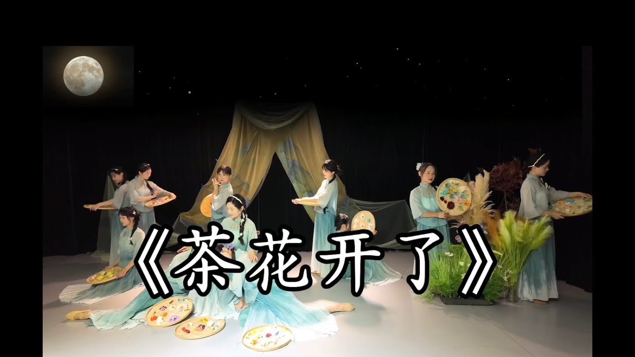 茶花开了#舞蹈#chineseclassicaldance