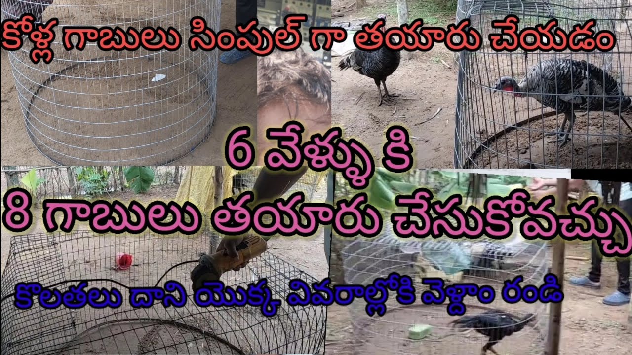 #కోళ్ల గాబులు#  తయారీ