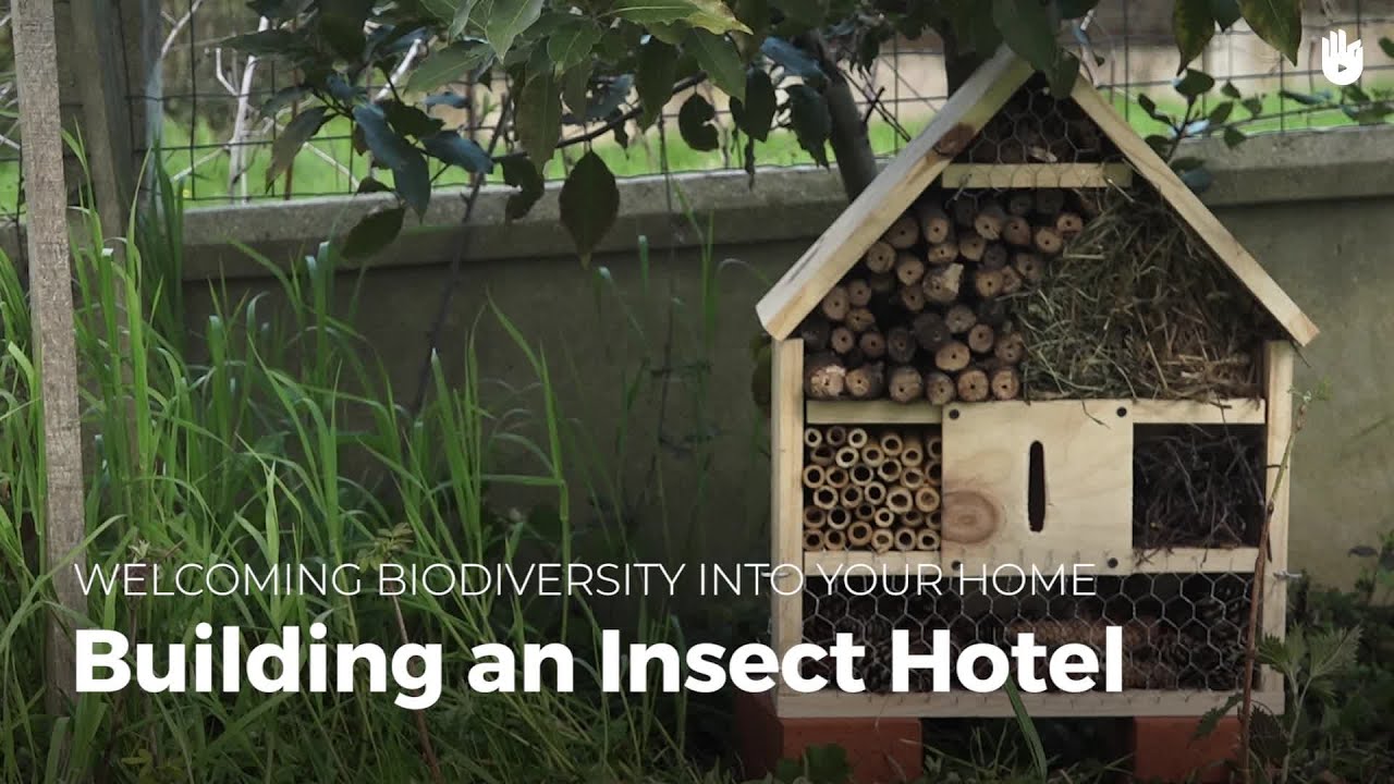 Building a Bug Hotel | Biodiversity