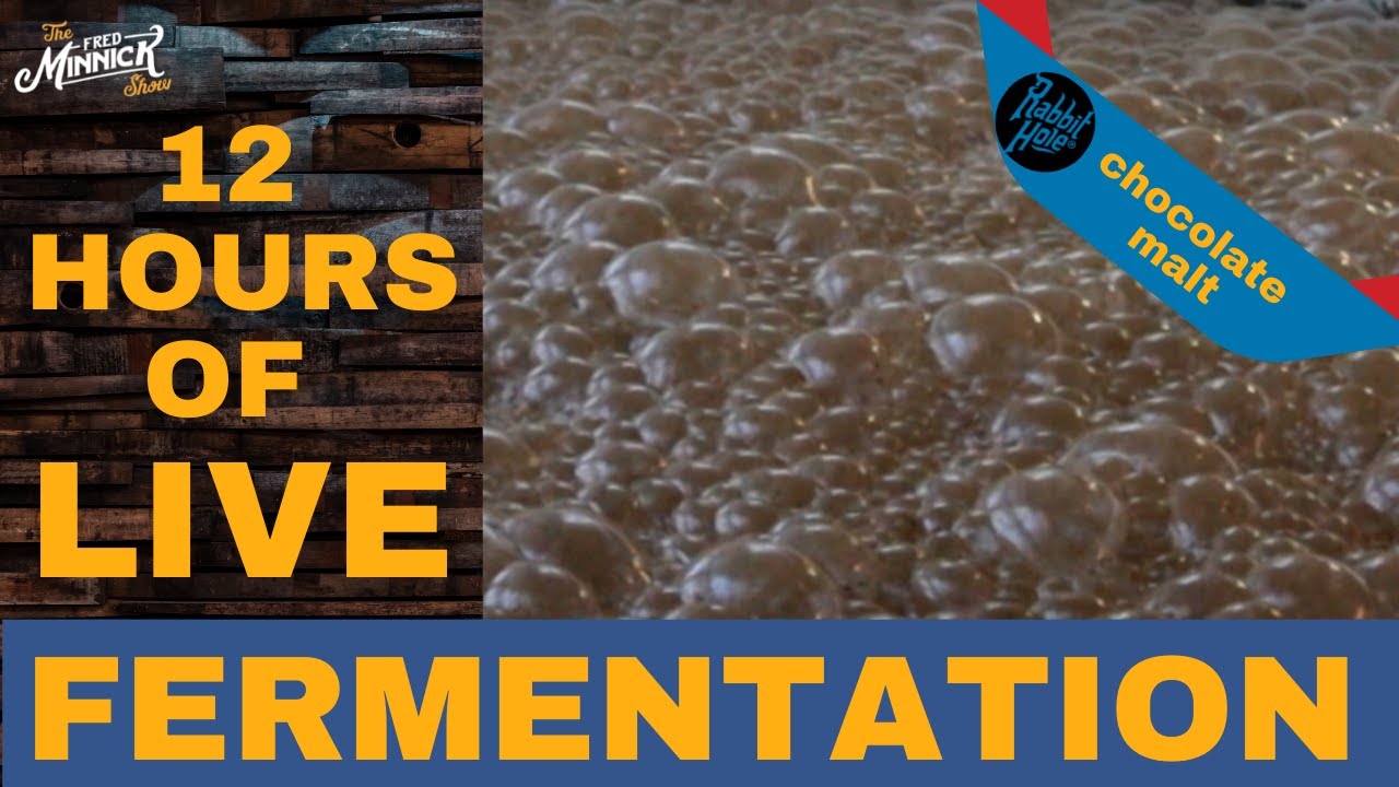 Live Bourbon Fermentation for 12 Hours