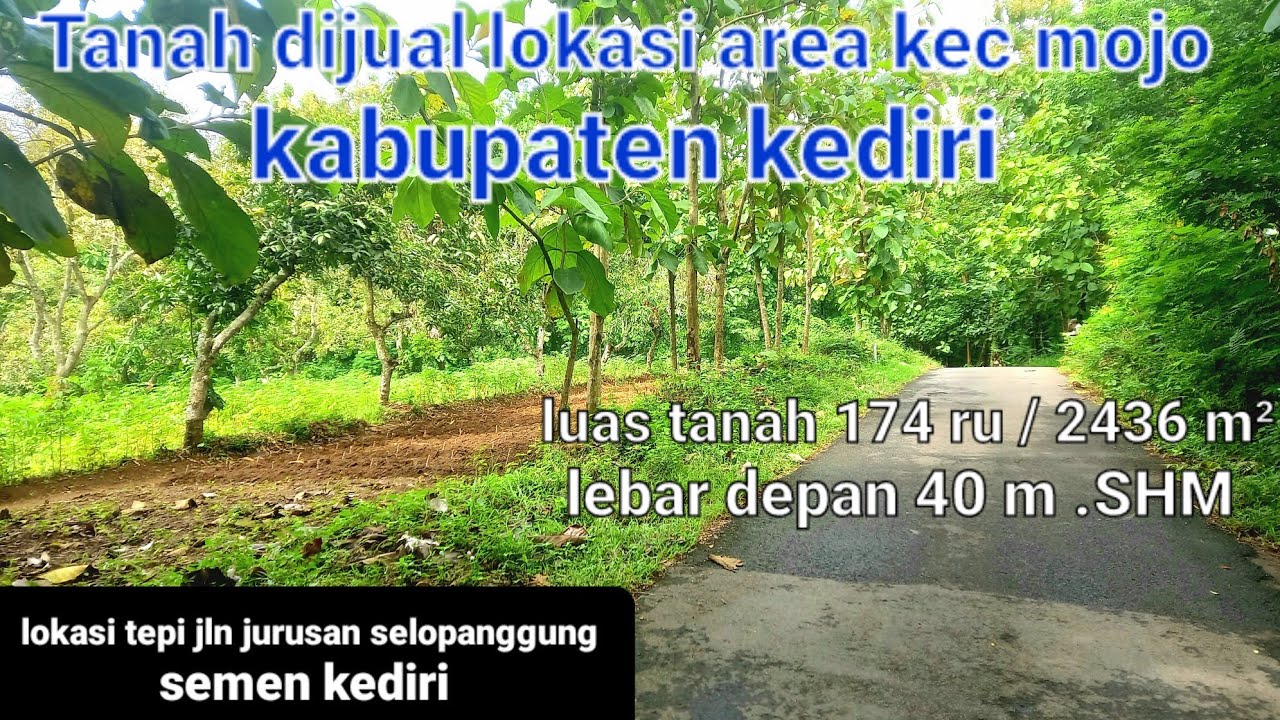 dijual tanah datar murah area mojo kediri( berisi full pohon mangga)082194791760