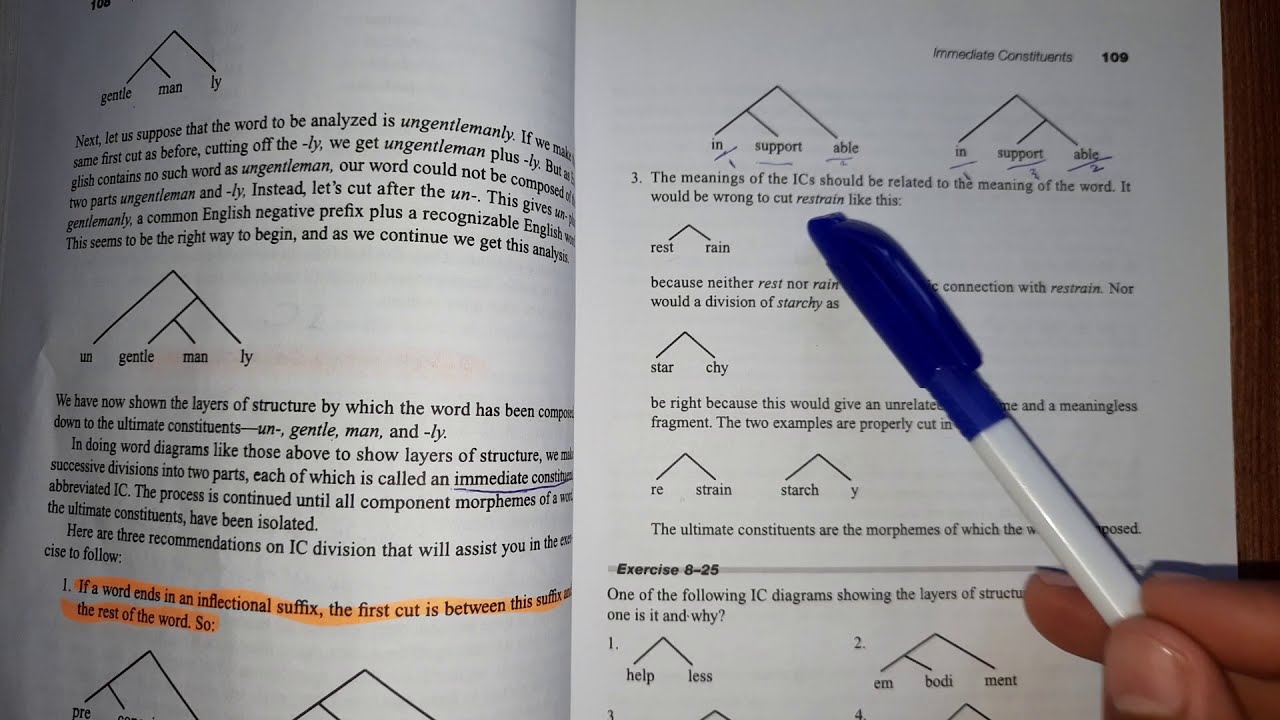 مادة الكرمر/ المرحلة الثانية/Immediate Constituent/اليونت الثامن.