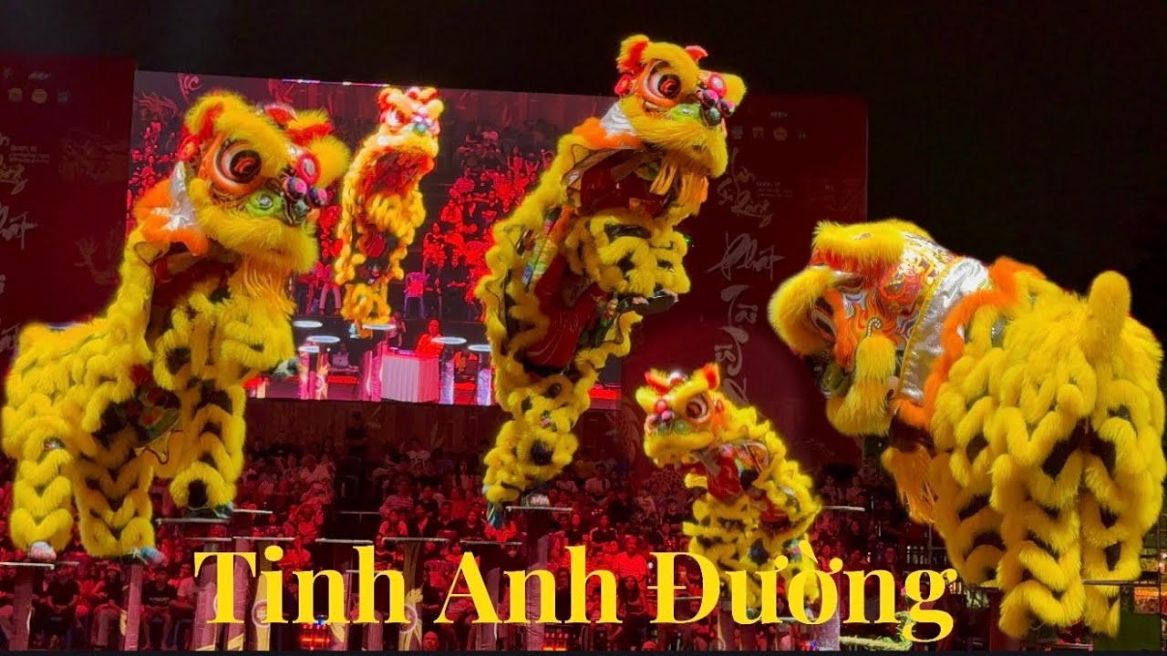 VÒNG CHUNG KẾT LSR QUỐC TẾ CHỢ LỚN HTV 2026 ! LSR TINH ANH ĐƯỜNG