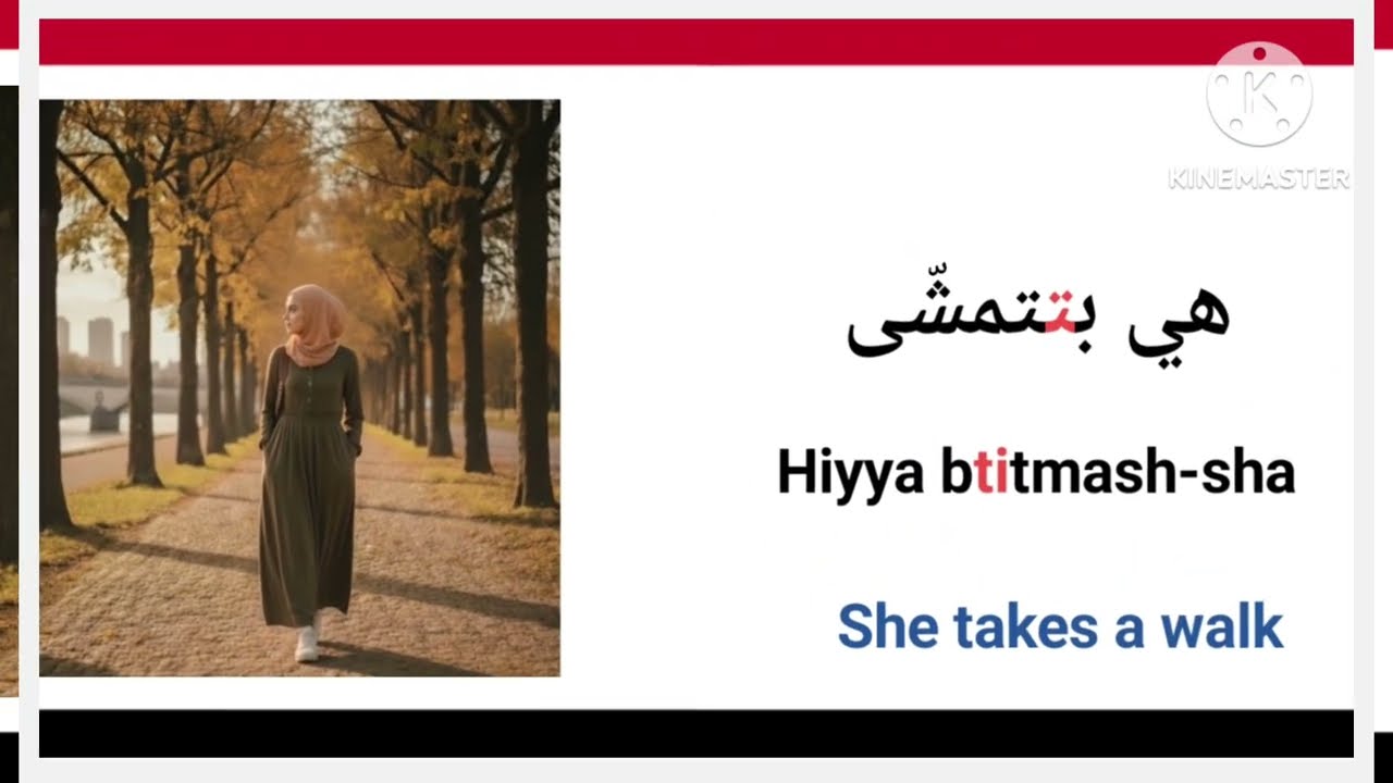 Learn Egyptian Arabic Verb ‘Yitmash-sha’ (to Take a Walk) – Present Tense + Practical Sentences