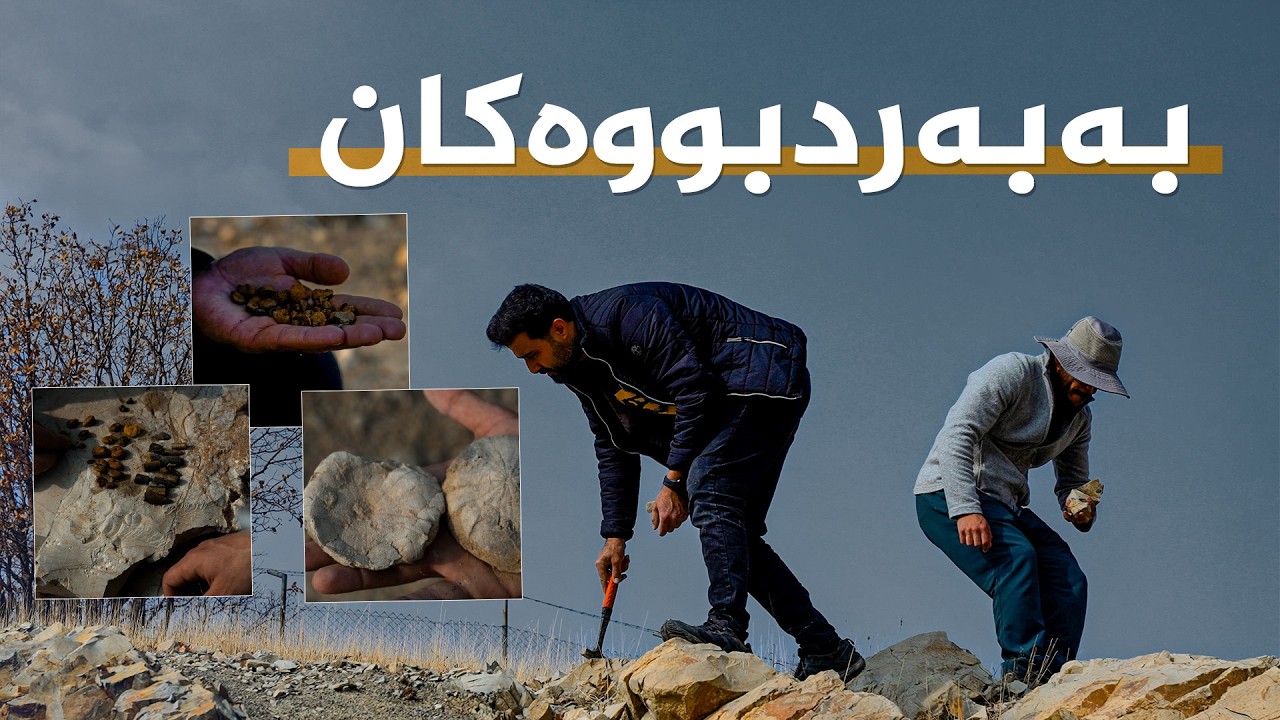 بەبەردبووەکانی کوردستان: تۆماری مێژووی دەیان ملیۆن ساڵ