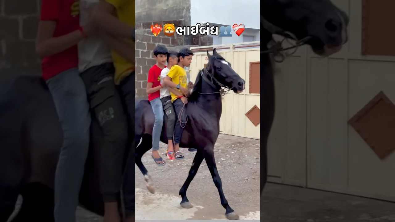 Kholiya juda ne jiv aek j jevo🥰🫂#song #bhaibandh #newsong #bestfriend #trending #horse #shorts