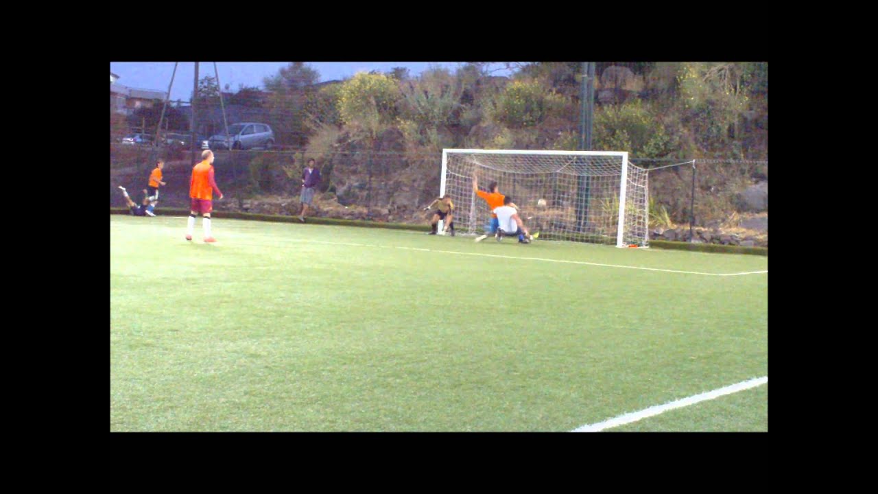 Green House vs Cani sciolti