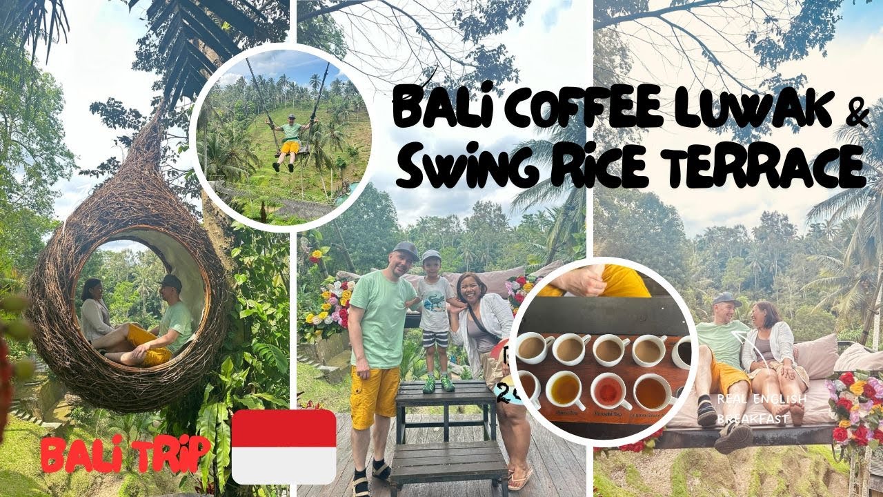 Bali Coffee Luwak & Swing Rice Terrace | Things to do in BALI