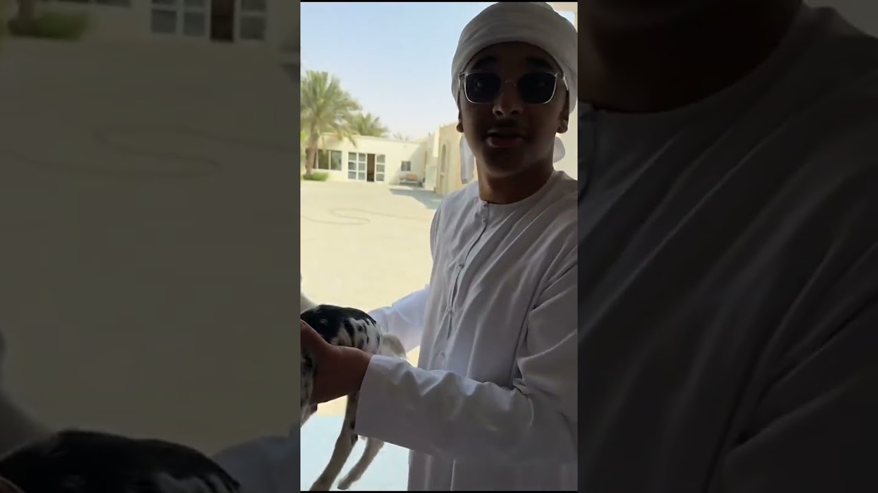 سنابات بن شنه : قصه غريبه الصراحه