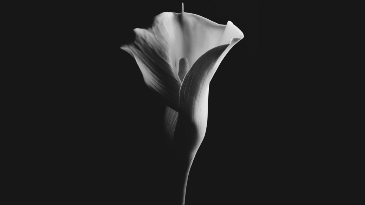 Ultranoire: Pleasure And Pain