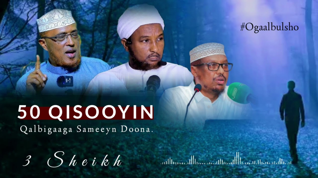 50 Qisooyin 100 % Cimro Qaadasho Mudan Sameyna leh  || Sh mustafe Sh Xuseen Sh Dirir @OGAALBULSHO