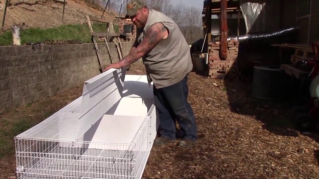 Rabbit Cages Made of Wire Shelving