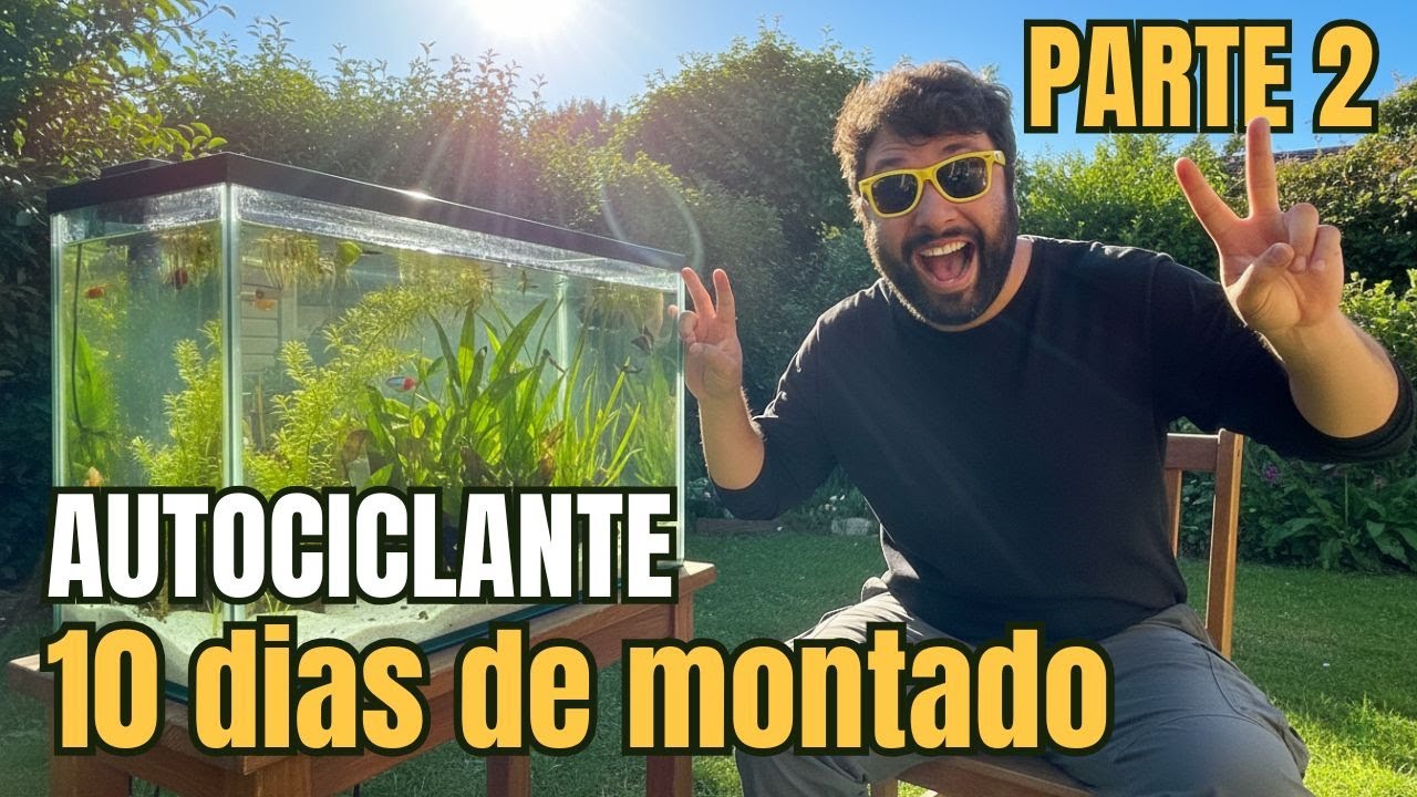 🌿 A evolução do aquário natural que “não ia funcionar” (spoiler: funcionou MUITO!)