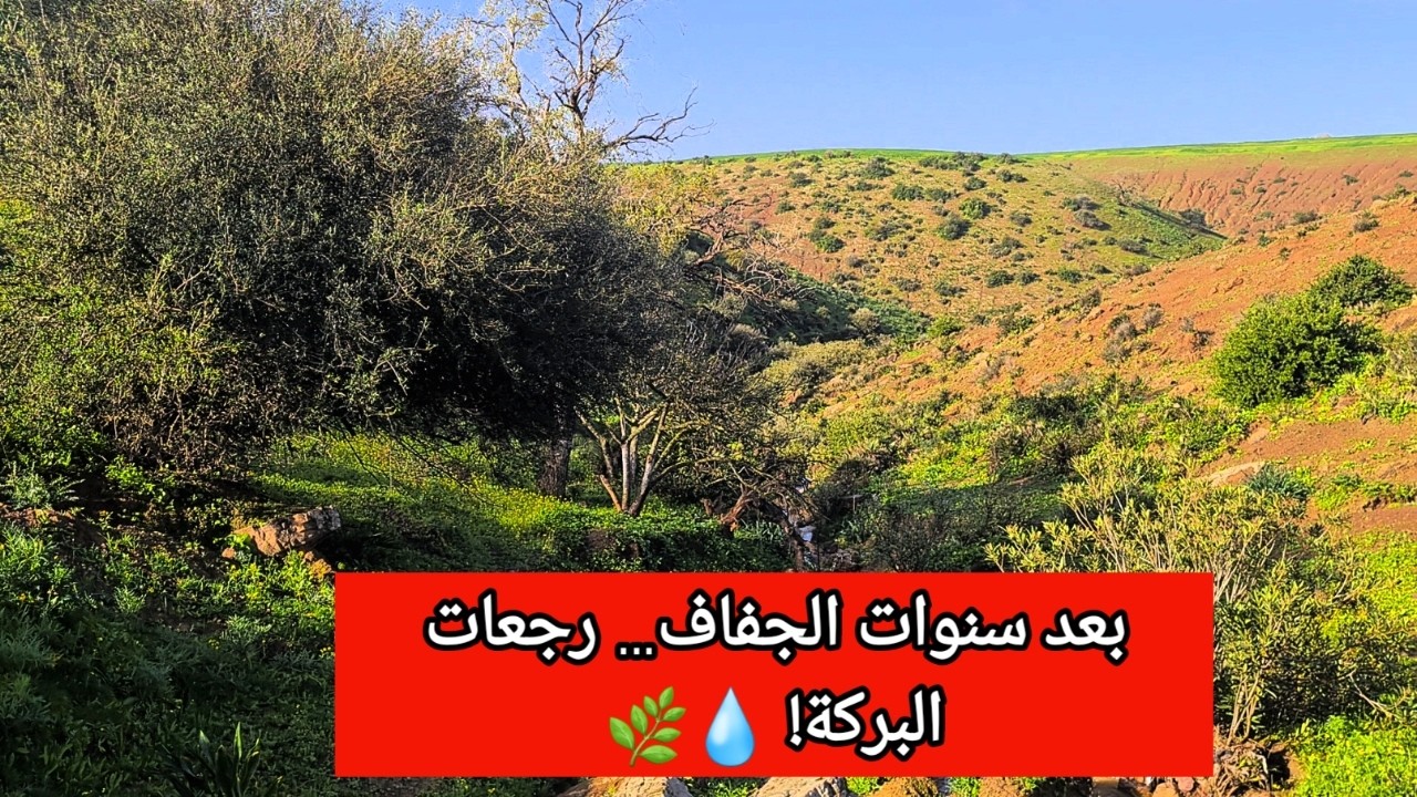 كنز فلاحي مخبي بين الجبال… الماء جاري والأرض خصبة شكون يفهم الإشارة؟