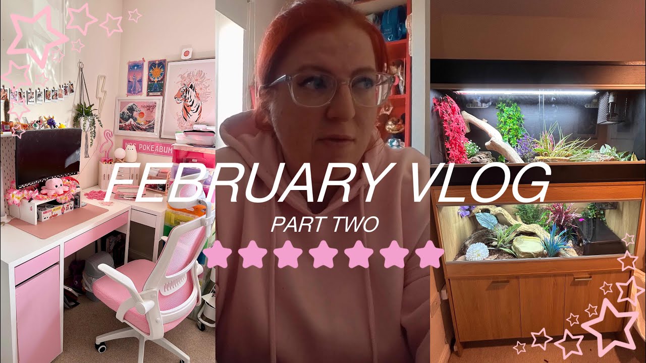 ✨FEBRUARY VLOG✨ | snake enclosure reset | relaxing vlog