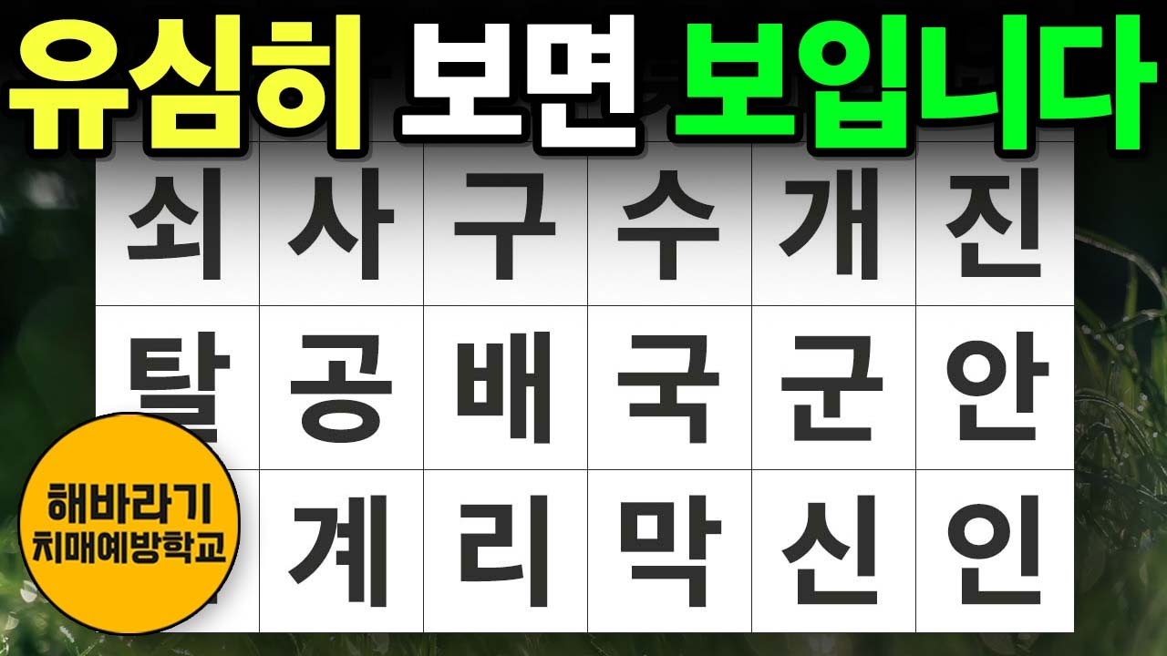【치매 예방】유심히 보면 정답이 보입니다┃숨은단어찾기,치매예방,치매테스트,단어퀴즈,낱말퀴즈